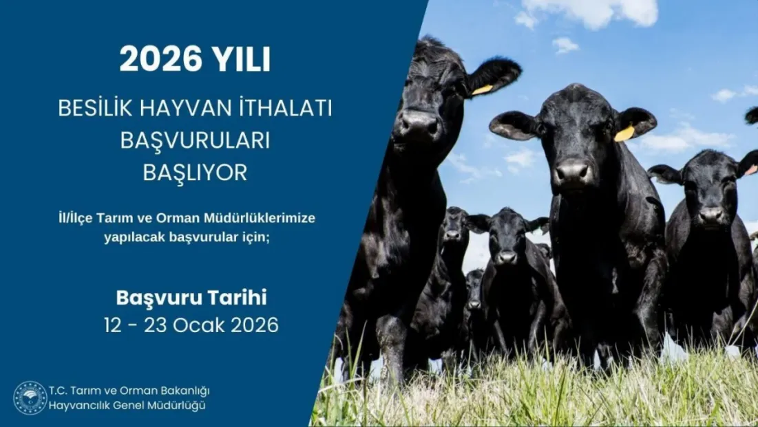 2026 besilik hayvan ithalatı başvuruları başlıyor