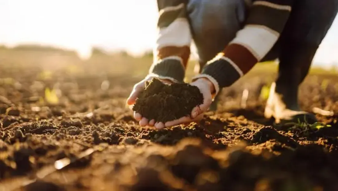 Bakan Yumaklı, “Gençleri tarımsal üretimin içerisinde tutmamız gerekiyor”