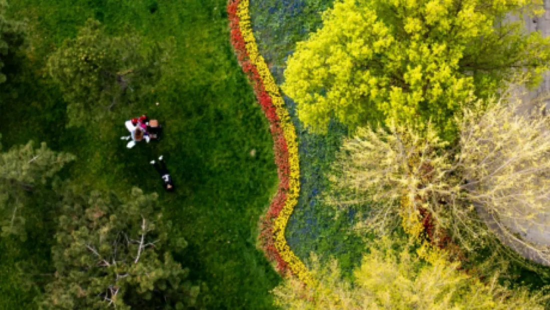 Kayseri Büyükşehir Belediyesi'nden Yeşil Yatırım: 127 Milyon TL
