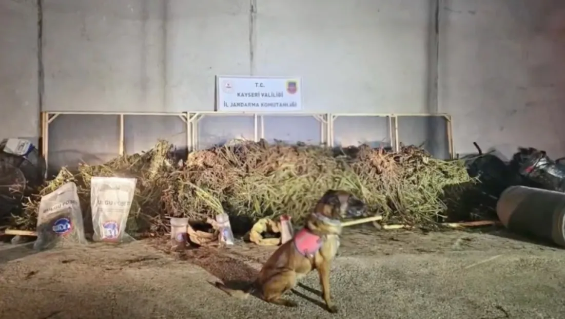 Kayseri dahil 63 ilde operasyon: 1 ton 343 kilogram uyuşturucu madde ele geçirildi