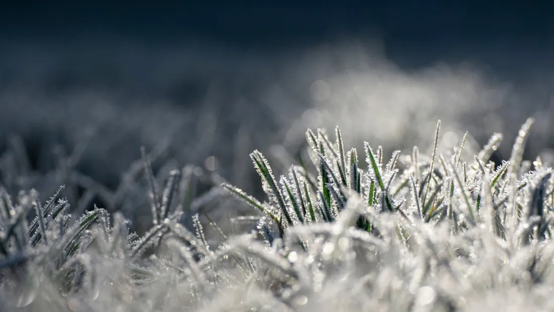 Kayseri’de buzlanma ve don olayı bekleniyor