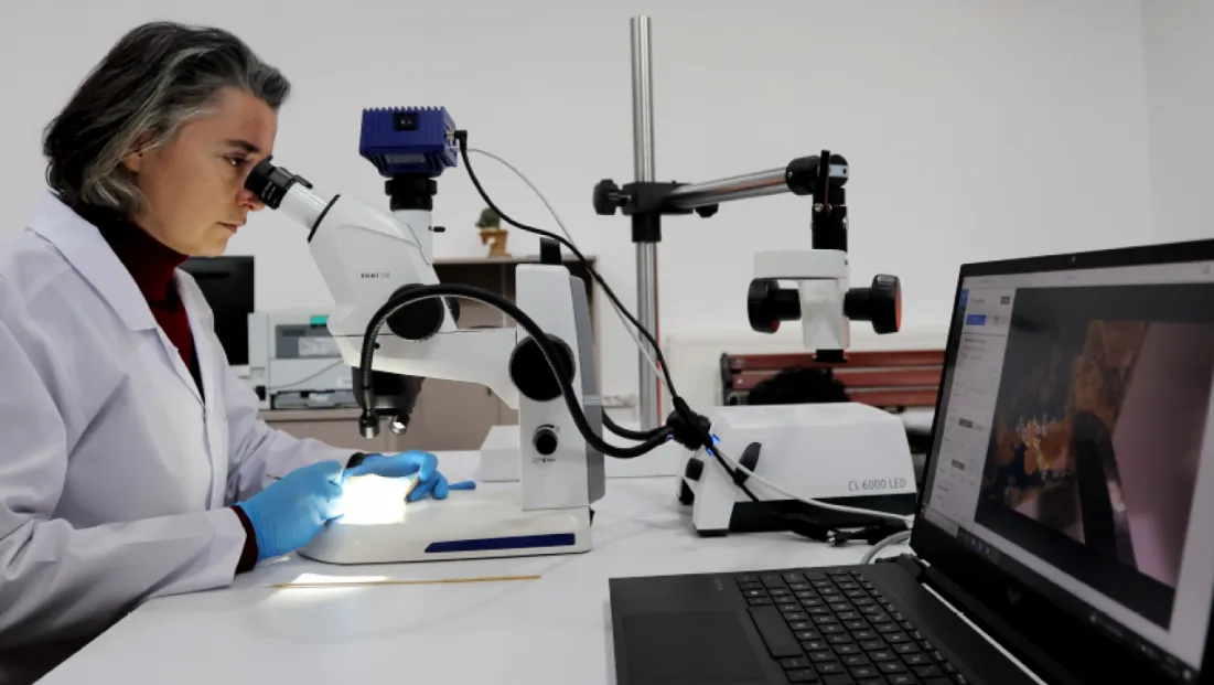 Kayseri'de Tarihi ve Kültürel Mirası Koruma Çalışmaları