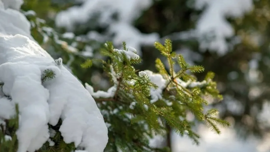 Kayseri hafta içi parçalı bulutlu ve kar yağışlı geçecek