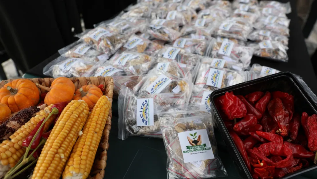 Kocasinan’da tarıma 22 bin 500 ata tohumu desteği