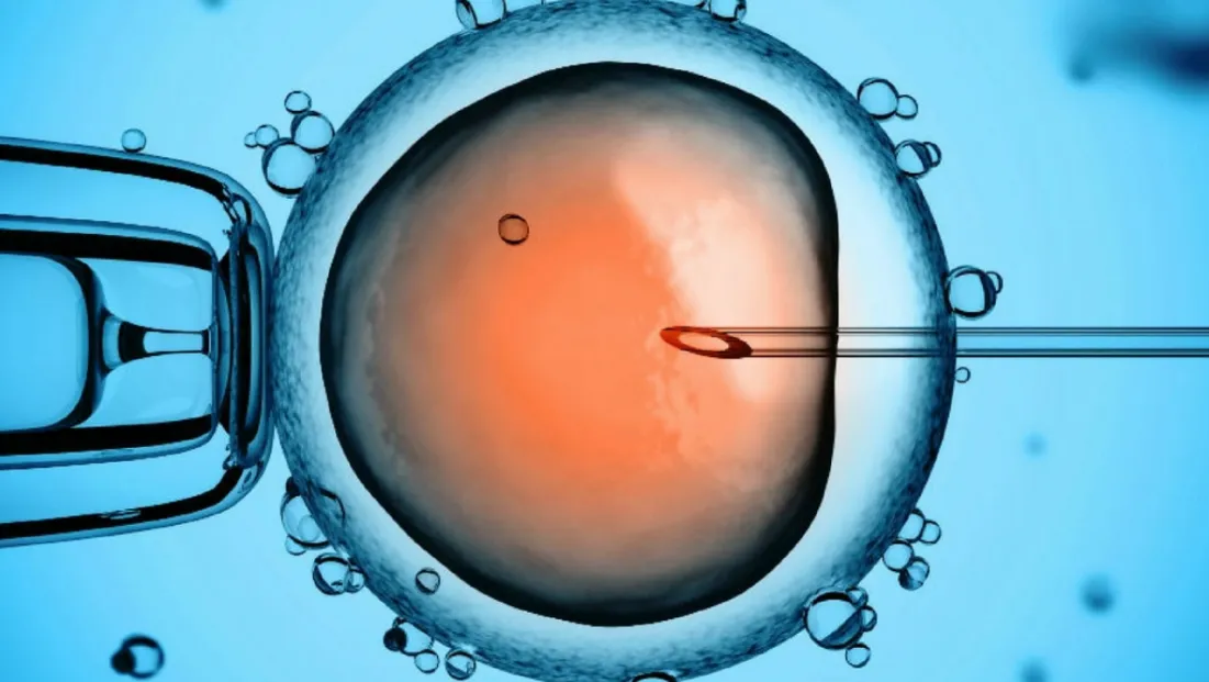 “Piezo Tüp Bebek yöntemi ile artık umutsuzluk giderek azalıyor”