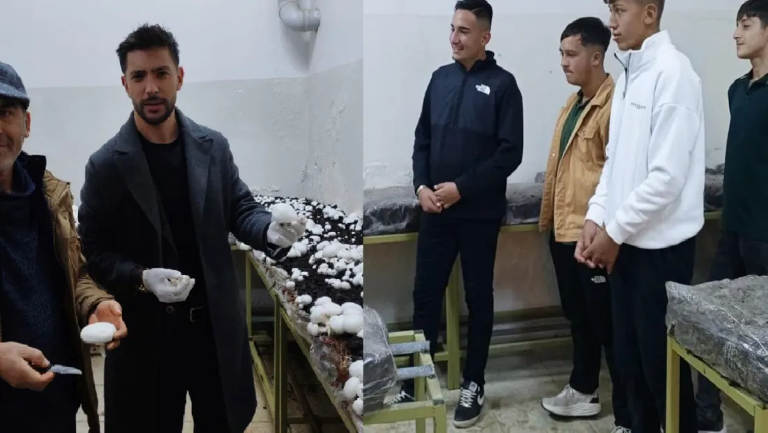 Sarız’da tarım öğrencileri mantar üretti