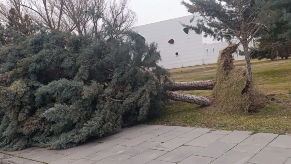 Şiddetli Rüzgara Karşı, Büyükşehir Teyakkuzda