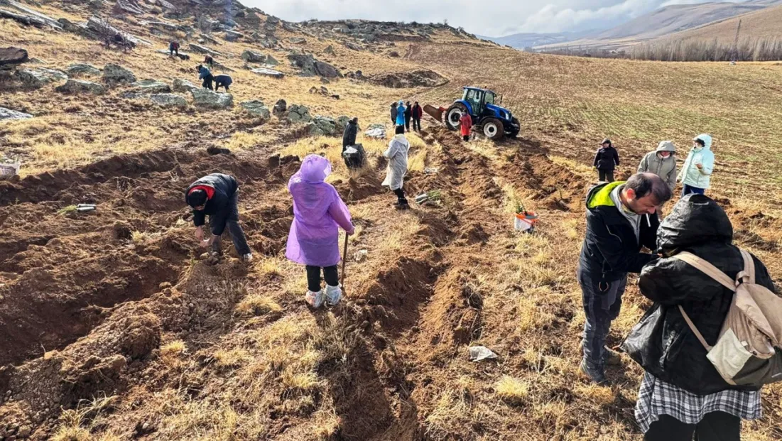 Tomarza Böke’de 500 fidan toprakla buluştu