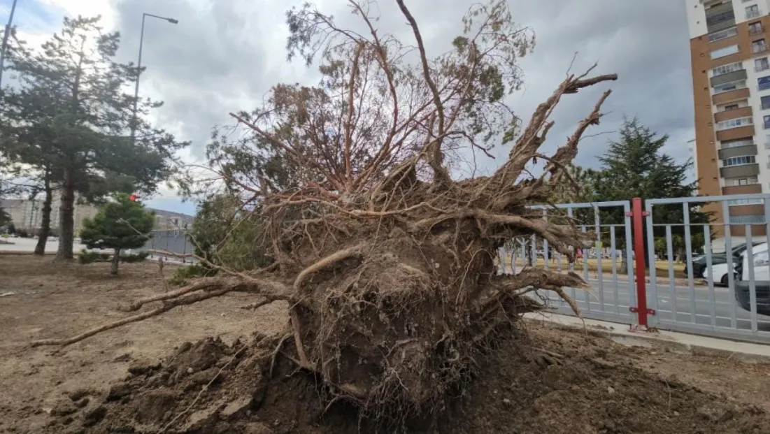 Uçan Çatılar, Sökülen Ağaçlar: İtfaiye 32 olaya müdahale etti