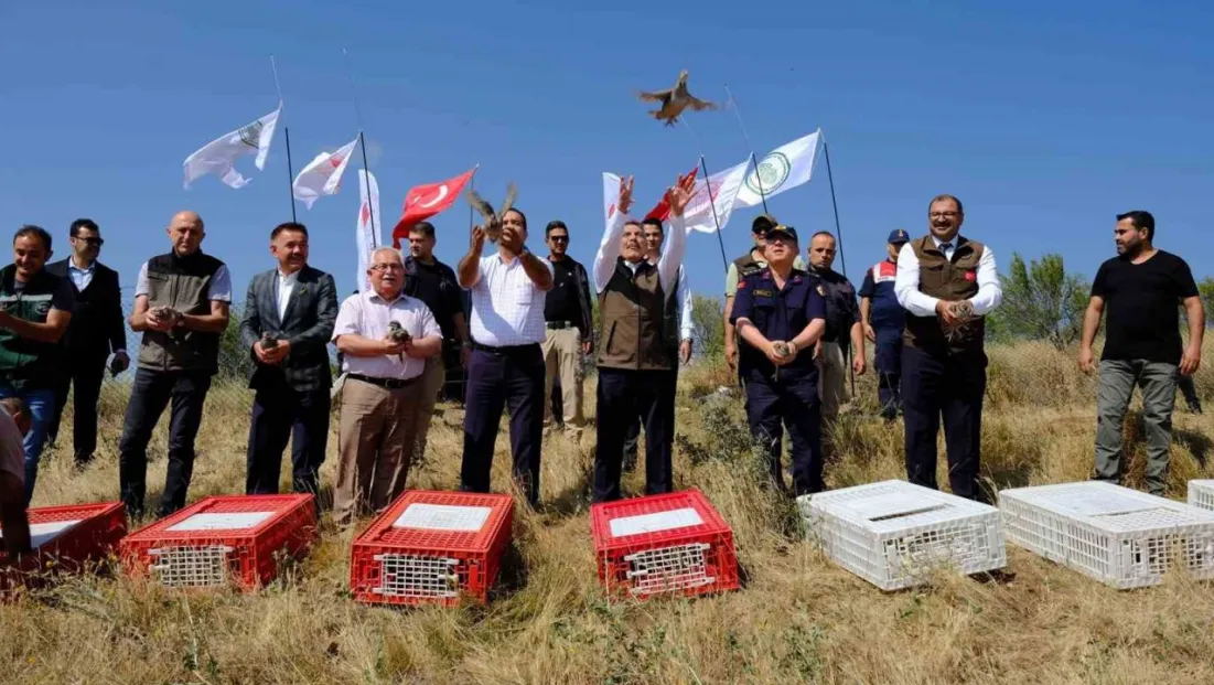 Yozgat'ta 800 kınalı keklik doğaya salındı