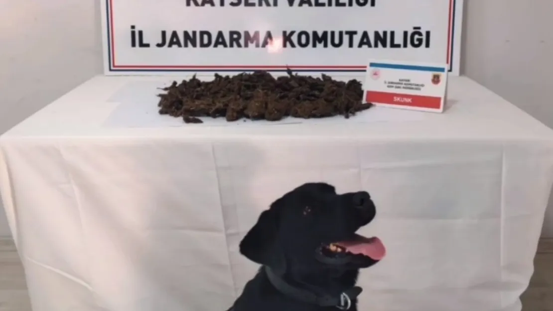 1 kilo 450 gram uyuşturucu madde ele geçirildi