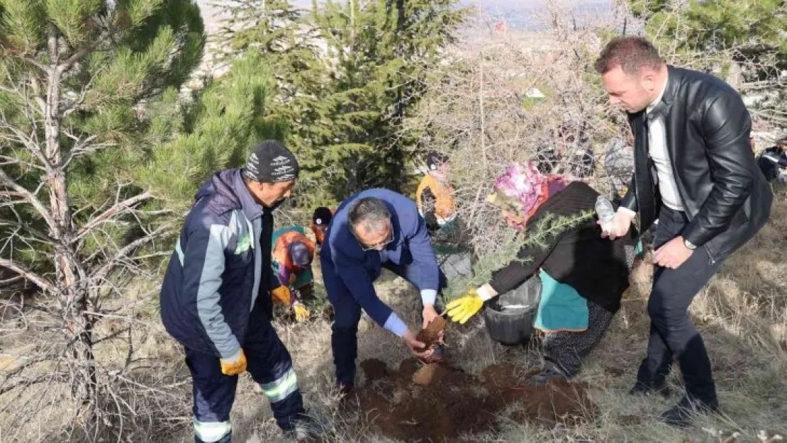 10 Bin fidan toprakla buluşuyor