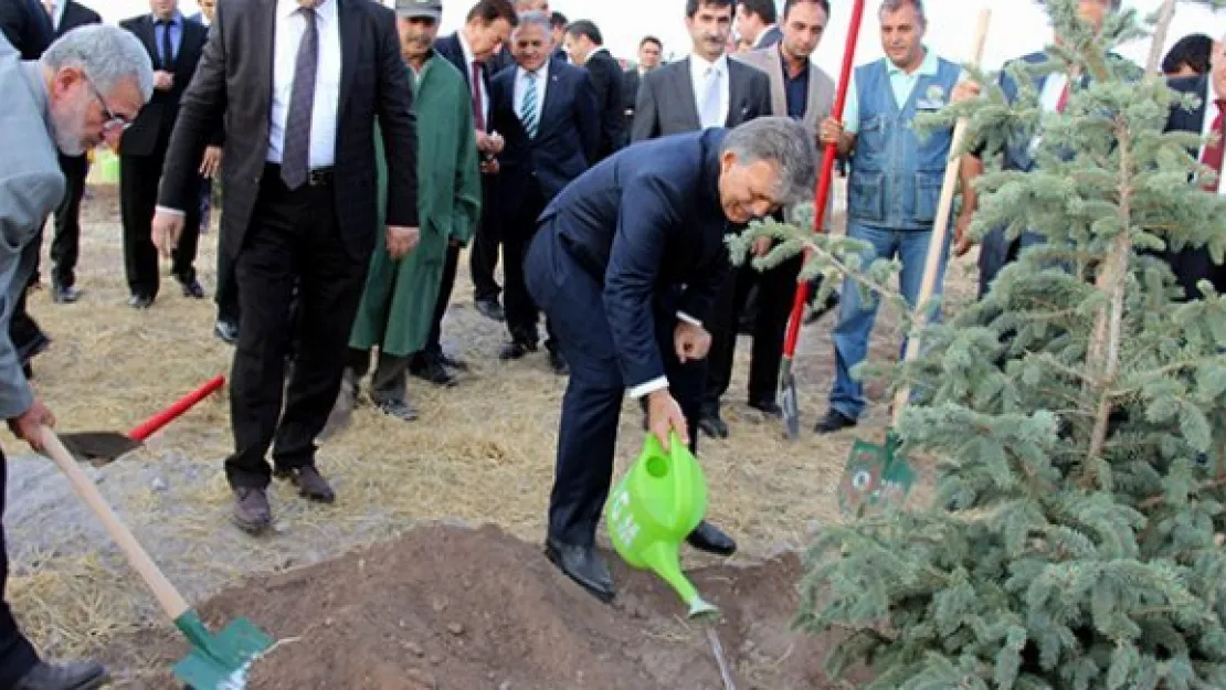 11. Cumhurbaşkanı Abdullah Gül hatıra ormanına ağaç dikti