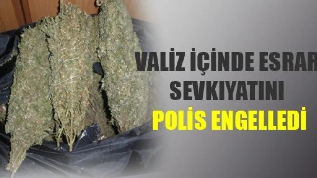 19 Kilo Esrar Yakalandı