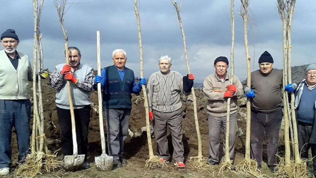 Subaşı mahallesi yeşilleniyor