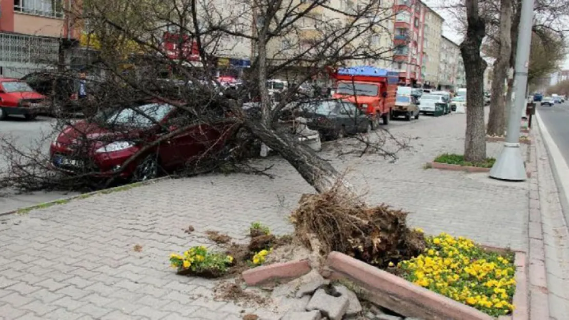 Kayseri fırtınaya teslim oldu