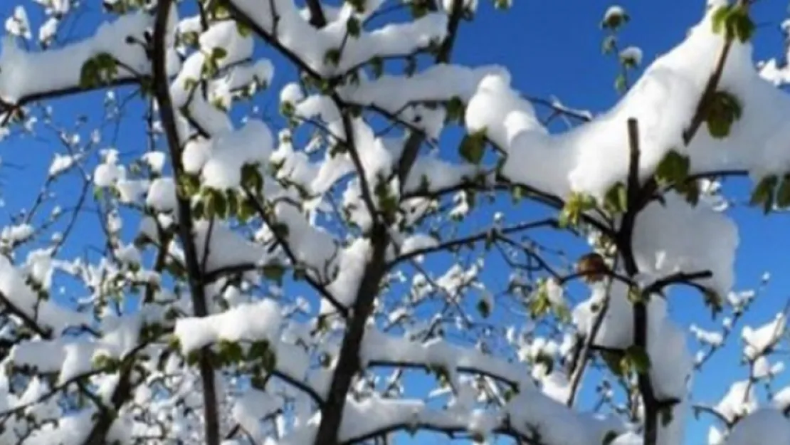 Meteorolojiden &quotZirai Don" uyarısı