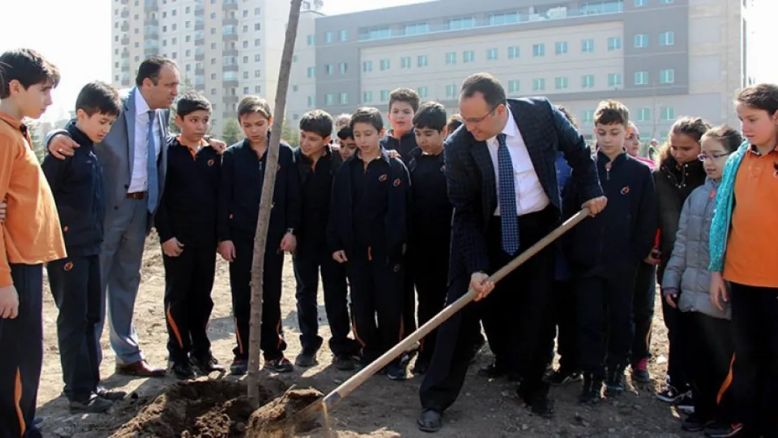 Tekden Öğrencileri Fidan Dikti