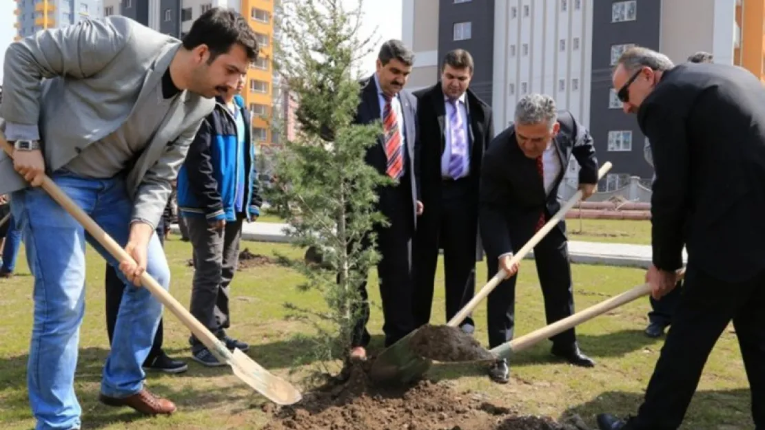 4000 adet çam ile çınar fidanları toprakla buluştu