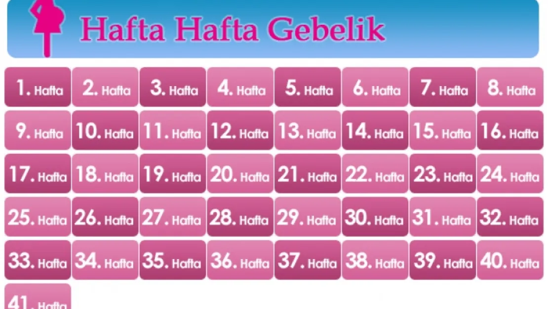 Hamililiek Hesaplama İle Yakşalasan Doğum Yapma Tarihiniz Öğrenebilirsiniz