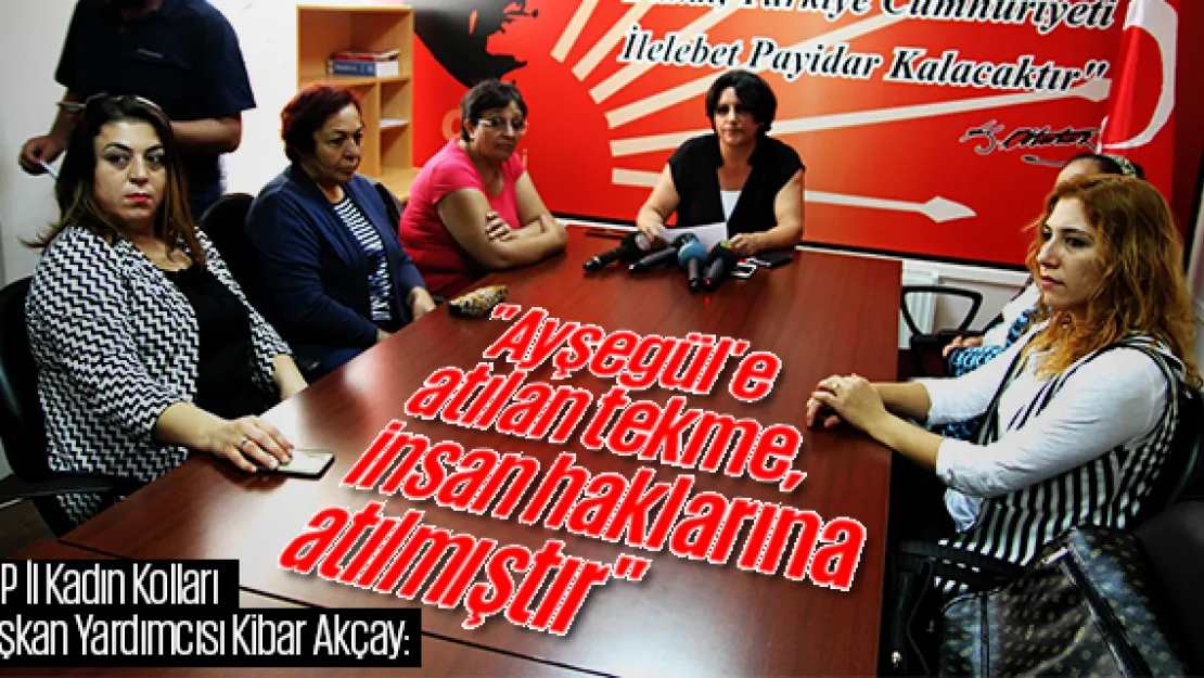 &quotAyşegül'e atılan tekme, insan haklarına atılmıştır"