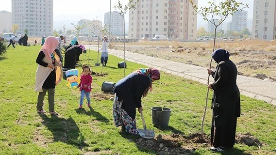 400 fidan toprakla buluşturuldu