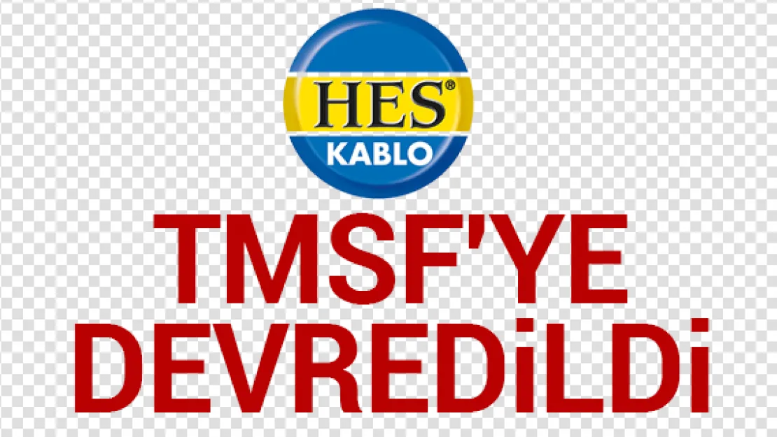 HES Kablo, TMSF'ye devredildi