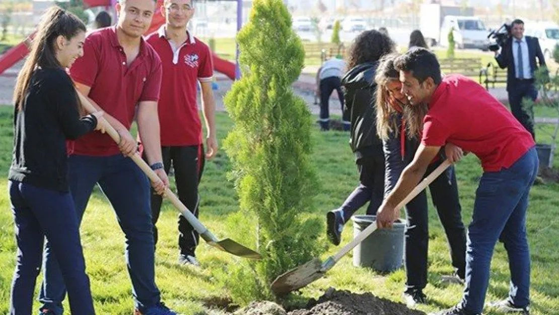 Konaklar'a 500 fidan dikildi