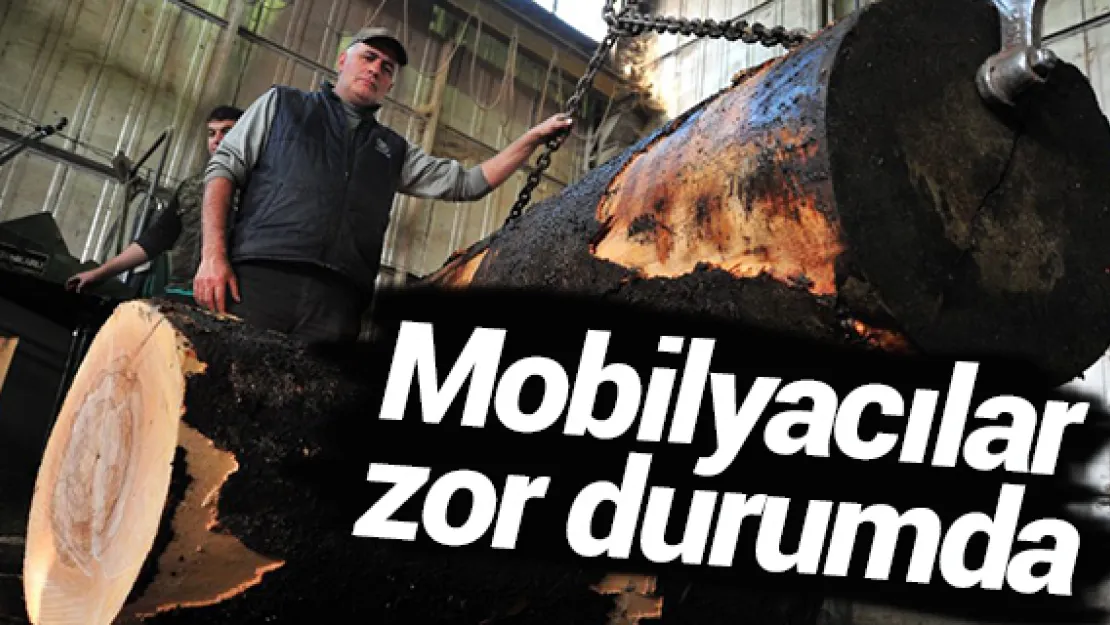 Mobilyacılar zor durumda