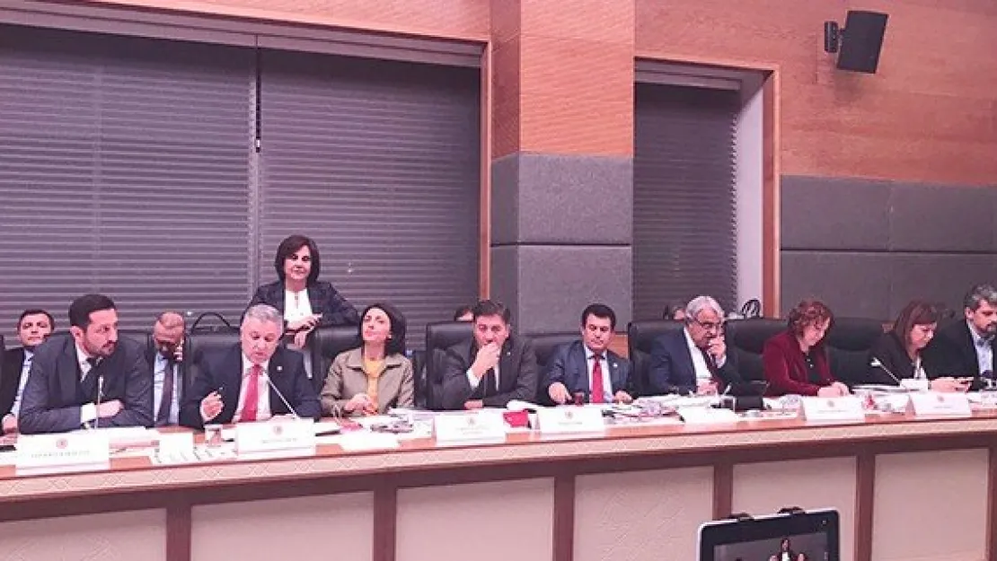 CHP'li Arık anayasa komisyonunda konuştu