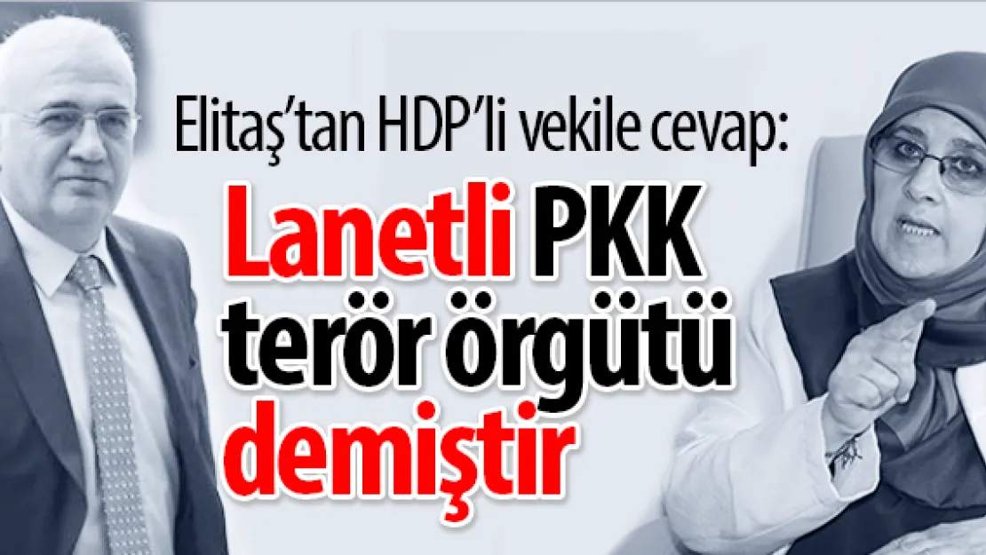 Elitaş'tan HDP'li vekile cevap