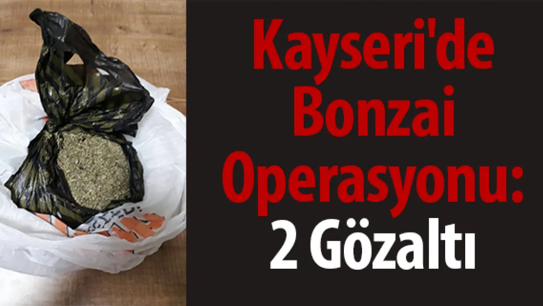 Kayseri'de Bonzai Operasyonu: 2 Gözaltı