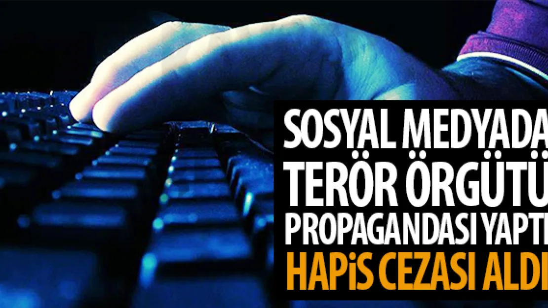 TERÖR ÖRGÜTÜ PROPAGANDASI YAPTI HAPiS CEZASI ALDI