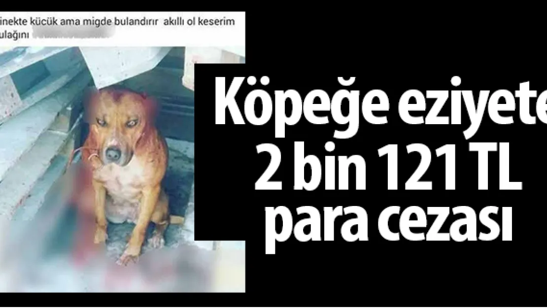 Köpeğe eziyete 2 bin 121 TL para cezası