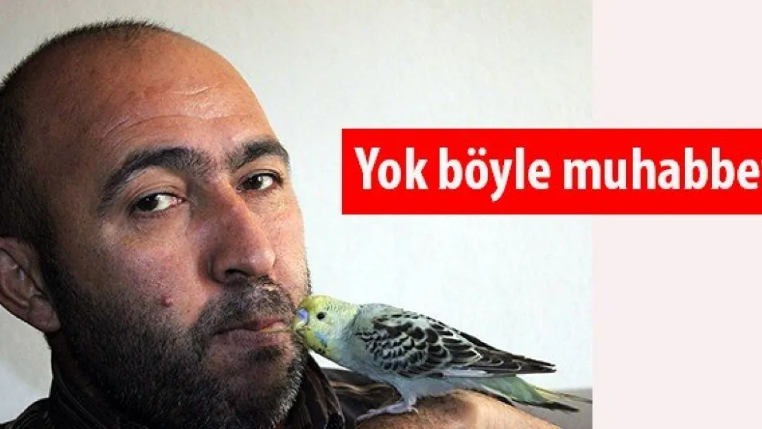 Yok böyle muhabbet