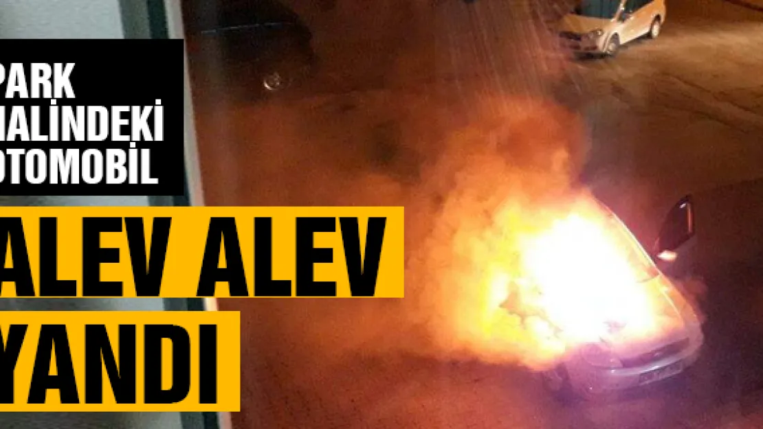 Kayseri'de otomobil alev alev yandı