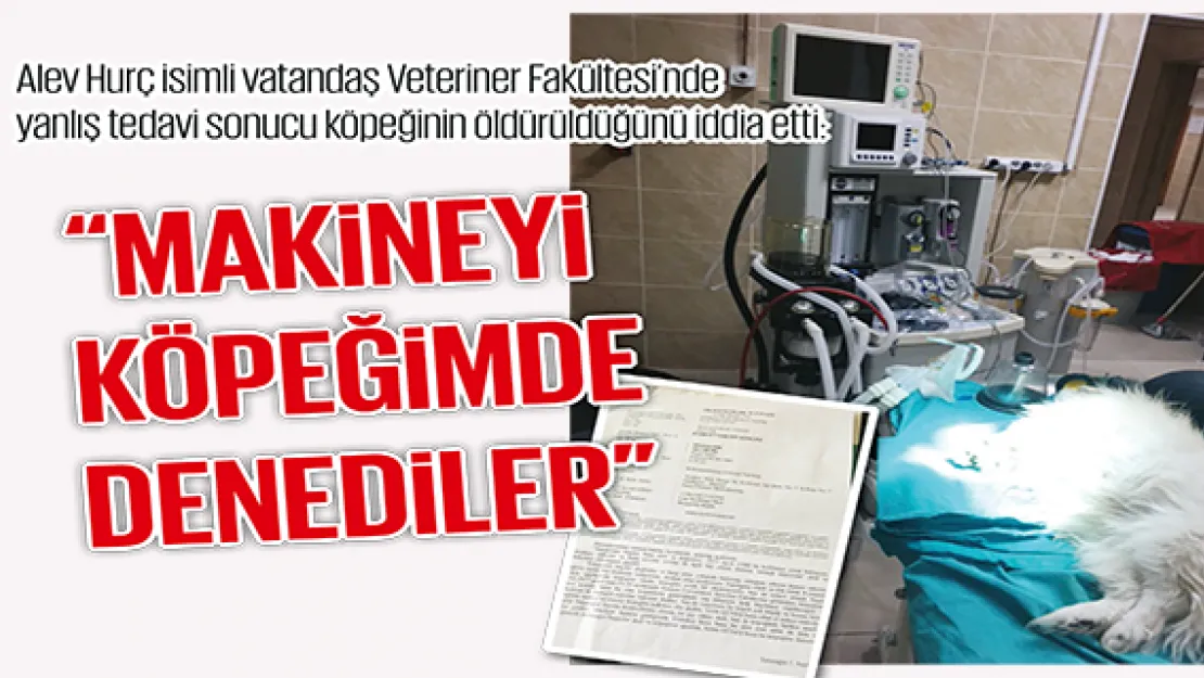 'MAKİNEYİ KÖPEĞİMDE DENEDİLER'