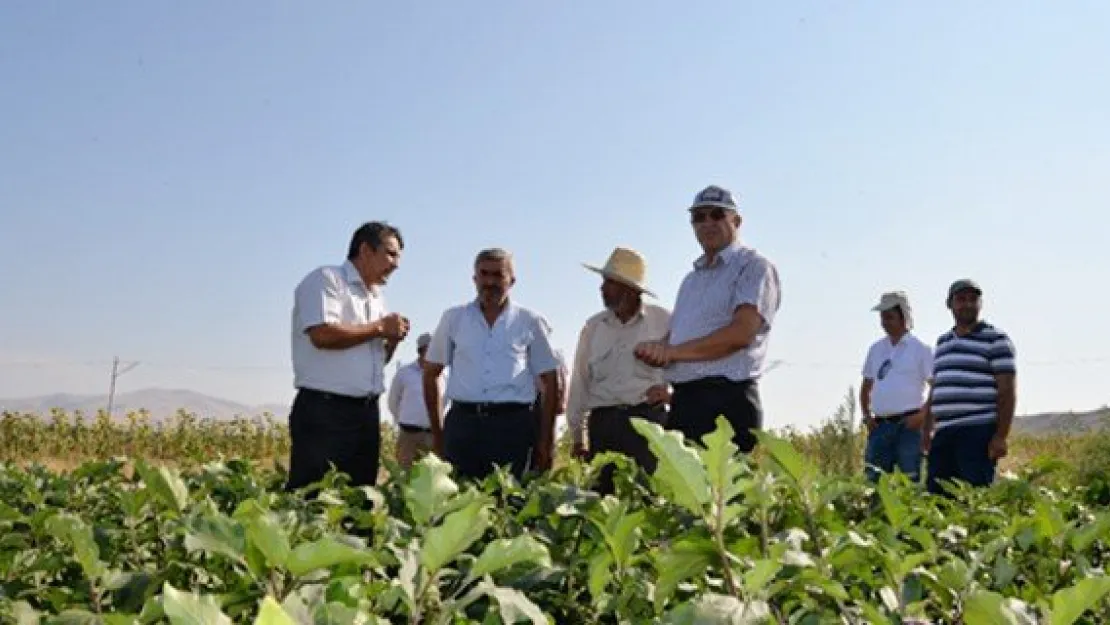 Yerli ürünler ıslah edilecek