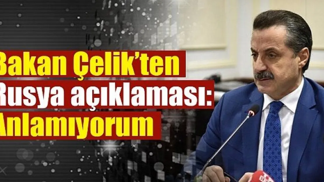 Bakan Çelik'ten Rusya açıklaması: Anlamıyorum