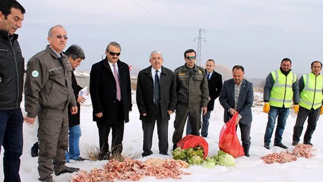 Yaban hayvanlarına yem bırakıldı