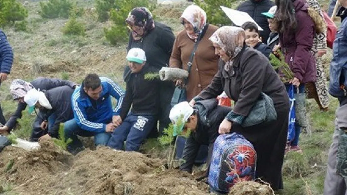 Otizm Farkındalık Ormanı'na 1000 adet fidan dikildi