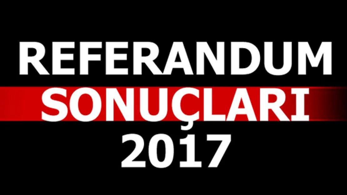 Referandum sonuçları 2017