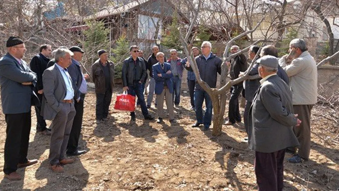 Üreticilere budama eğitimi