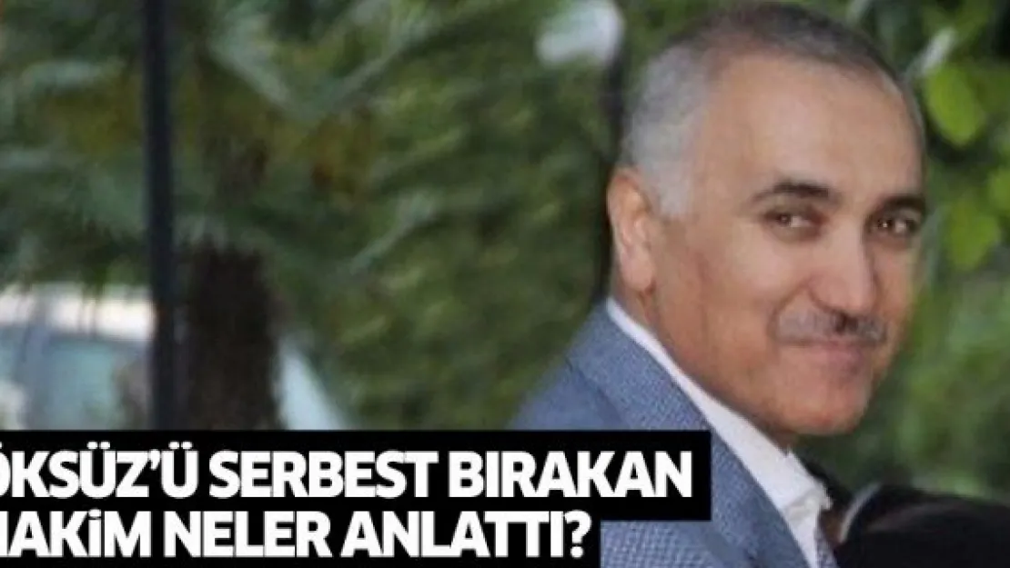 Adil Öksüz'ü serbest bırakan hakim neler söyledi?