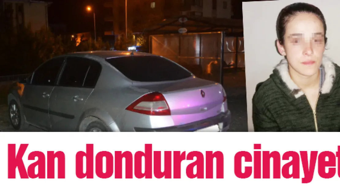 Kan donduran cinayet