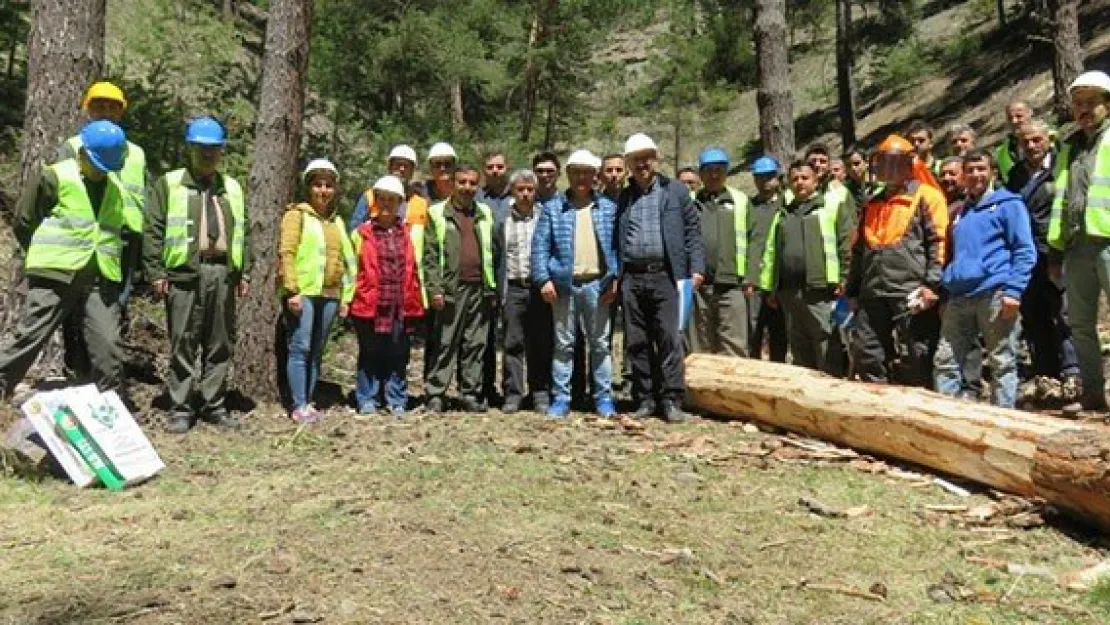 Ormanda üretim tatbikatı yapıldı