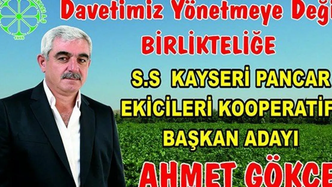 Pancar Ekicileri Kooperatifi'nde Gökçe de aday