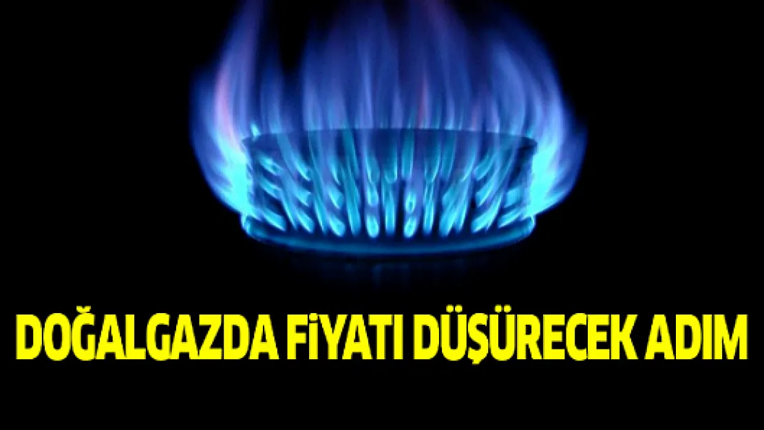 Gazda fiyatı düşürecek adım