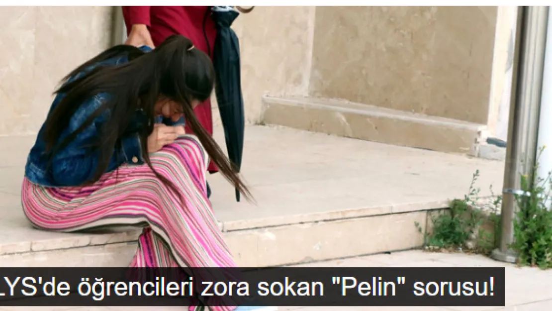 LYS 2017'ye Damga Vuran 'Pelin' Sorusu
