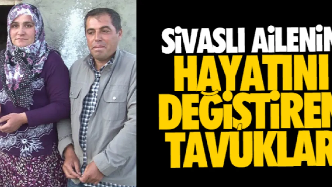 SİVASLI AİLENİN HAYATINI DEĞİŞTİREN TAVUKLAR